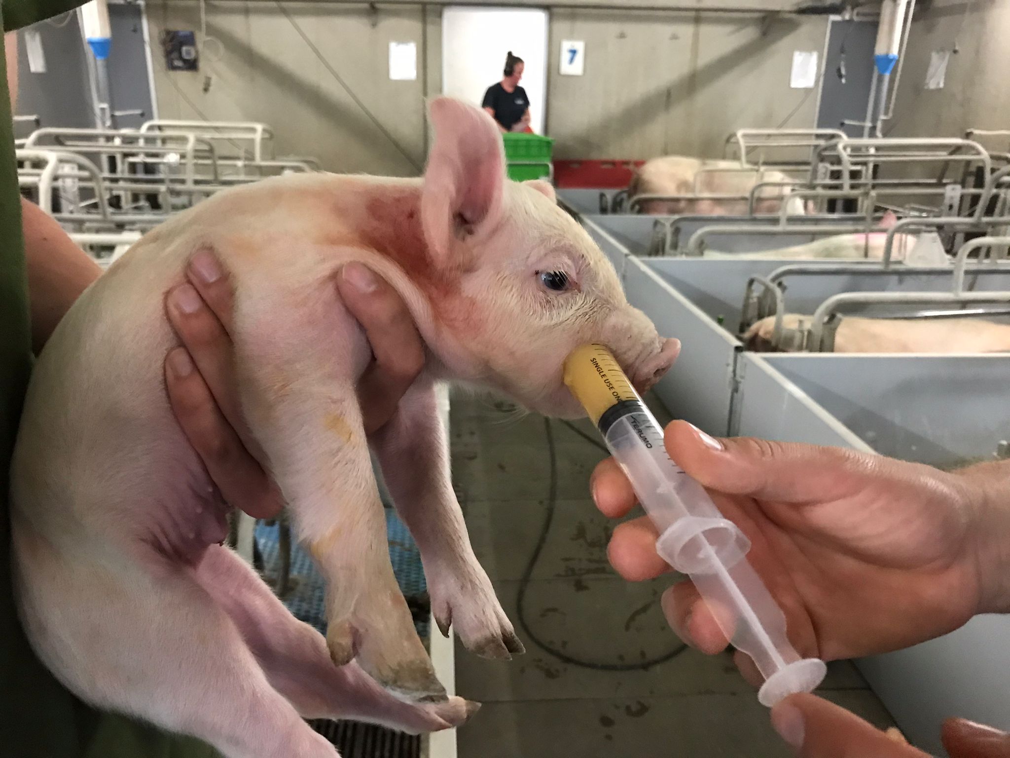 HemOral met appelmoes