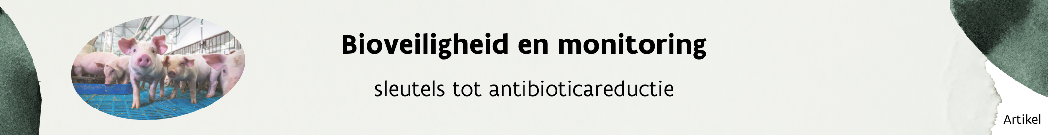 Bioveiligheid en monitoring, sleutels tot antibioticareductie