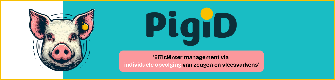 Banner_PigID